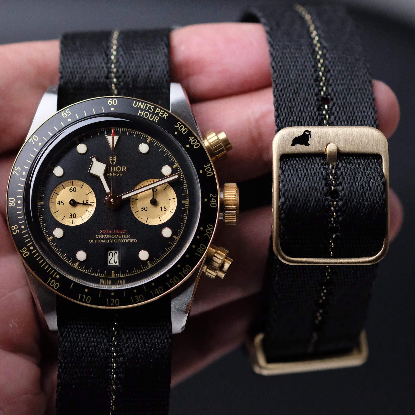 A luxury wristwatch with a black face, gold hands, and subdials, paired with RSM Engraved Stripe in Gilt Stripe, gold buckle and stitching.